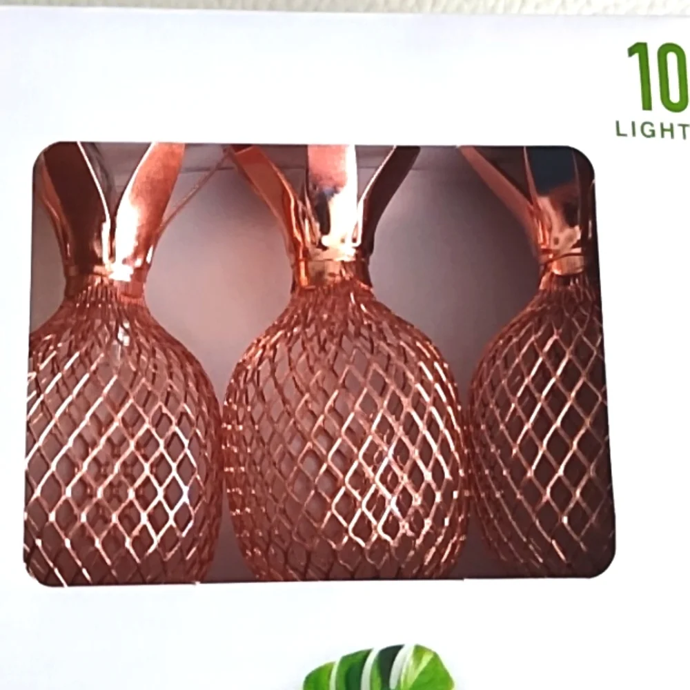 Garden Party Metal Mesh Brass Pineapple Flamingo Cactus LED Light